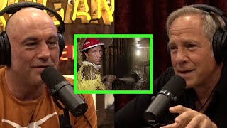 Joe Rogan Is Stunned By Paul Stamets Stories About the Multiverse [upl. by Kahaleel]