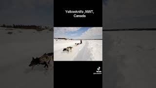 Explore yellowknife  read some cool facts in the comments section 😇 tiktok trending youtube [upl. by Adnara]