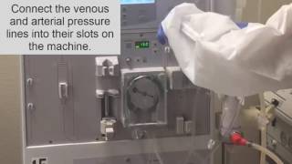 How to setup a dialysis Machine part II Hemodialysis Training [upl. by Maloney]