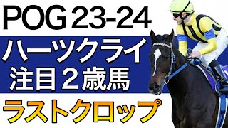 【POG2324】ハーツクライ産駒の注目２歳馬をリストアップ！【次シーズン向け／ラストクロップ】 [upl. by Baptiste221]