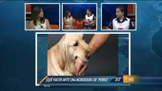 Las Noticias  Salud en Las Noticias 30 octubre 2014 [upl. by Aetnahc]