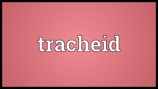 Tracheid Meaning [upl. by Eidnyl]