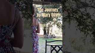 “The Journey” by Mary Oliver Complete version▪️ poetry maryoliver thejourneymaryoliver [upl. by George]