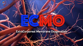 ECMO Extra Corporeal Membrane Oxygenation [upl. by Sefton]