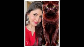 Anahita bhooshan vs beautiful 🐈😺 anahitabhooshan 💗💗 [upl. by Negris]