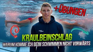 Korrekte Kraulbeinschlag beim Schwimmen [upl. by Hubsher]