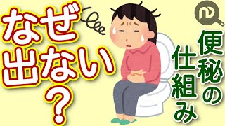 便秘の仕組み。 食べているのに なぜ出ない？ NDKitchen Wellness [upl. by Osher]