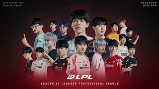 NIP vs LNG  LPL SUMMER SPLIT 2024 [upl. by Xineohp69]