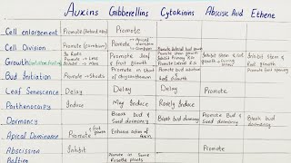 Plant hormones  auxins gibberellins cytokinins ethylene abscisic acid [upl. by Hodgson40]