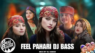 FEEL PAHARI DJ BASS  NONSTOP 🎧 DJ AMAN  PAHARI NATI  NEW PAHARI SONG 2024 himachalibhailog [upl. by Drusus719]