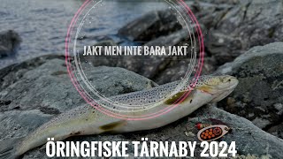 Öringfiske Tärnaby 2024 [upl. by Eerahs394]