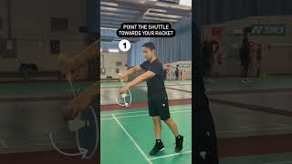 Badminton cervis [upl. by Idnib]