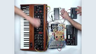 finger workout minimoog elektron analog four eurorack etc [upl. by Yaniv82]