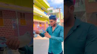 Namaj ke liye tiger ko bheja 😍🕊️ shortvideo youtubeshorts trending viralshort pigeon bird [upl. by Sorenson141]