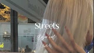 Streetsdoja cat sped up [upl. by Ketti56]