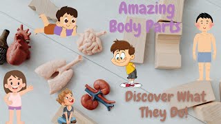 Amazing Body Parts – Discover What They Do kidsvideo kidslearning [upl. by Bouley]