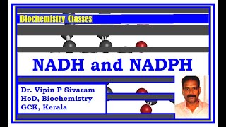 NADNADH and NADPNADPH [upl. by Alrac]