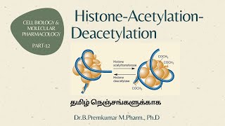 Histone Acetylation Deacetylation  CBMP  Part 12  Tamil [upl. by Imoen]