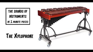 The Xylophone The Sounds of Instruments in 1 min pieces [upl. by Calla161]