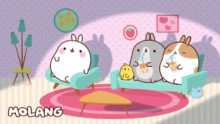 A Restless Night 🌙 Molang  Cry Babies and Friends in English  Animation and Cartoons [upl. by Zuleika25]