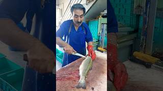 How to fillet a trout for frying fishcutting [upl. by Epilihp795]