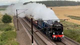 Steam Locomotive 60532 ‘Blue Peter’ passing Ryther  July 13th 2024 [upl. by Tiphane]