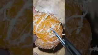 Satisfying peeling orange asmr satisfying [upl. by Drud]