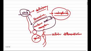 General Pathology Class 7 Mechanism of Metaplasia Dr Murtoza Shahriar [upl. by Rutra]