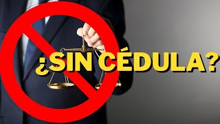 ¿Puedes litigar sin cédula profesional  PASANTES DE EXITO [upl. by Yasmine]