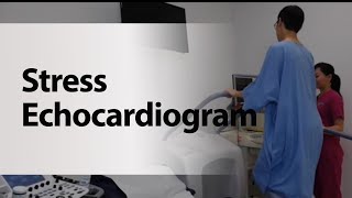 Stress Echocardiogram [upl. by Ocram]