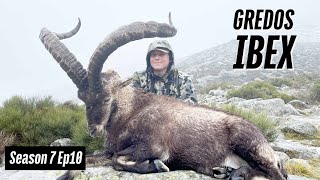 Hunting Gredos Ibex In Spain [upl. by Armyn870]