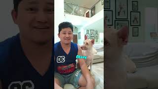 MGA FUNNY FACIAL REACTION NI THEOPOT [upl. by Yahsan]