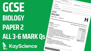 GCSE Biology Paper 2  5 Homeostasis amp Response  Exam Questions amp Answers Revision 36 mark Qs [upl. by Llekcm]