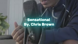 Chris Brown  Sensational  Song Cover By Heemeski [upl. by Enahpets]