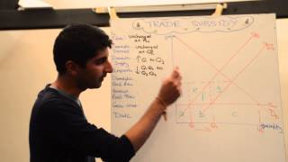 Trade Subsidy  Detailed Analysis [upl. by Mamoun]