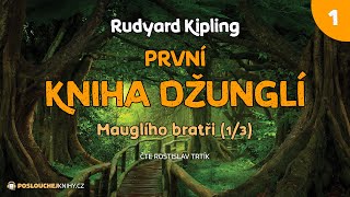 Rudyard Kipling První kniha džunglí – 01 Mauglího bratři 13 [upl. by Flanigan732]