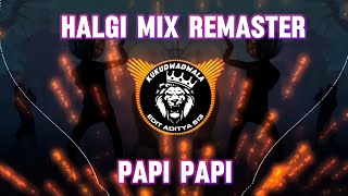 HALGI MIX REMASTER X PAPI PAPI   DJ SACHIN SDT [upl. by Valli463]