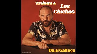 TRIBUTO A LOS CHICHOS  DANI GALLEGO [upl. by Burr753]