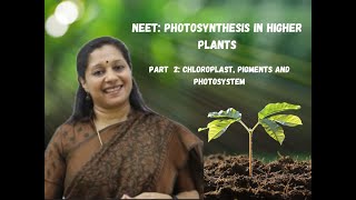 NEET Photosynthesis In Higher Plants Part2 Chloroplast Photosystem Pigements [upl. by Etta512]