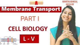 Membrane TransportFacilitated DiffusionActive TransportCarrier and Channel ProteinCell Biology [upl. by Aneleve]