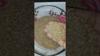 వాము ప్రయోజనాలుhealth benefits of ajwaincarom seeds trendingonshorts lalluvlogs [upl. by Tyrrell]