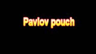 What Is The Definition Of Pavlov pouch Medical School Terminology Dictionary [upl. by Nniuq341]