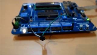 Demo  LM35 to AVR Atmega32  Interfacing [upl. by Arreit]