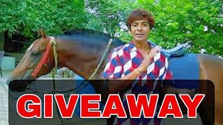 Giveaway Horse english saddle  giveaway 2024 [upl. by Naujled627]