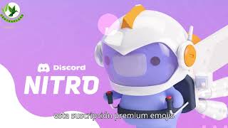 Discord Nitro 1 mes gratis gracias a Epic Games [upl. by Collie110]