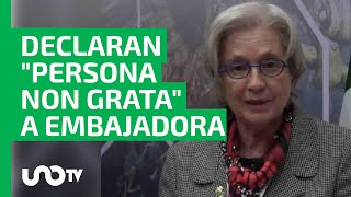 Ecuador declara “persona non grata” a embajadora de México por dichos de AMLO [upl. by Arela906]