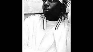 Talib Kweli  Fallen Star throw back [upl. by Nnyliak]