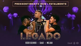 Rodriguinho Gaab e Mr Dan  Pressentimento  Fatalmente part MC Livinho Legado  Ao Vivo [upl. by Cornie]