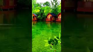 love song tamil tamilmelodylovesongs [upl. by Nylannej811]