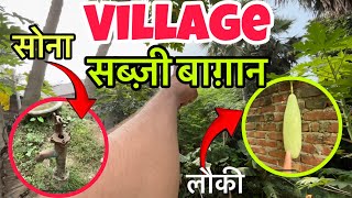 Ghar ke pass me sabji bagicha 🥙  Firozkhano3  village vlog [upl. by Polard]